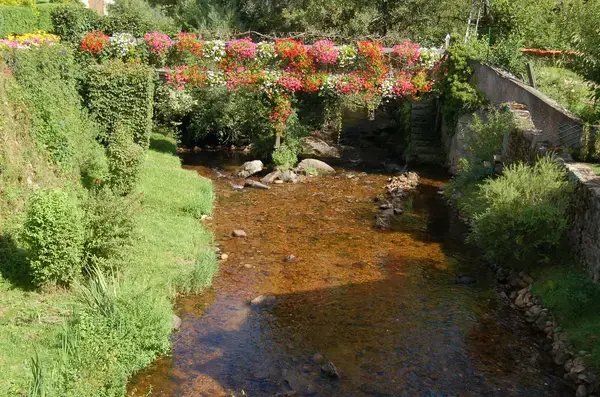 Monte Escalier 03 Monte escalier Arfeuilles