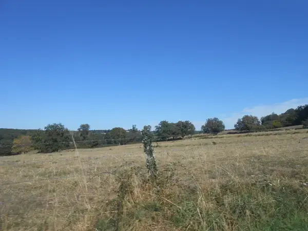 Monte Escalier 03 Monte escalier Terjat